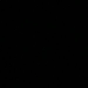 Meet your Posher, Jillian